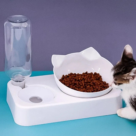 dual-purpose Automatic Pet Bowl