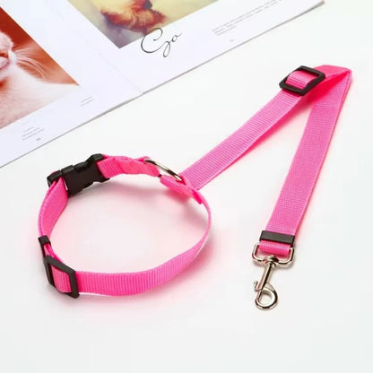 Pet Car Seat Belt