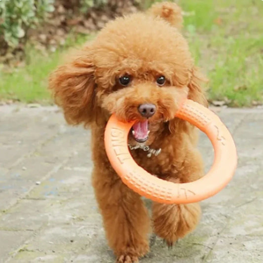 Dog Flying Disk Training Toys Ring