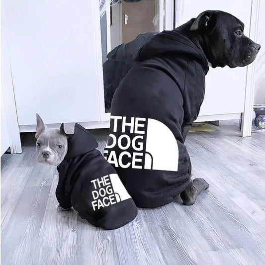 Dog Hoodie